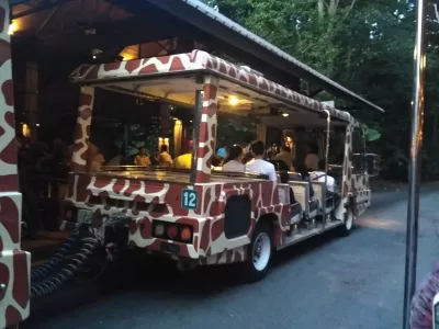 night-safari (2).jpg